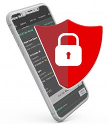 seguridad