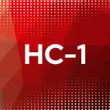 handicap icono