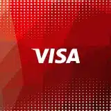 visa ikono