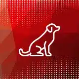 apuestas a underdogs icono
